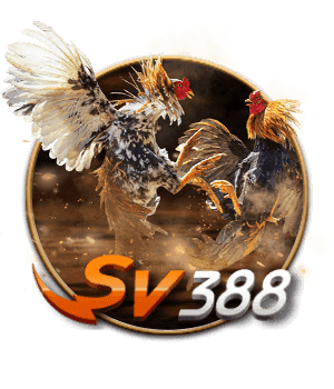 Đá gà SV388