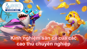Kinh nghiệm săn cá của các cao thủ chuyên nghiệp